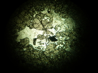 Grenat et Calcite